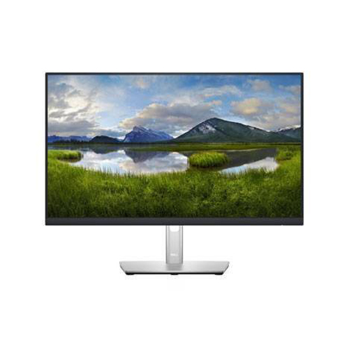 DELL 23.8" P2422H Monitor/006515